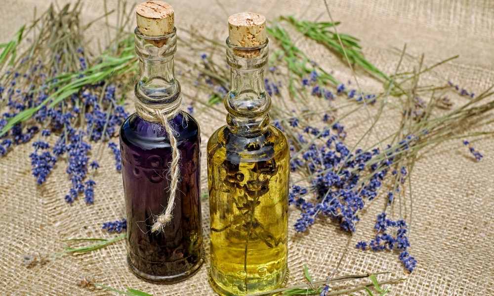 Lavanta yağı faydaları nelerdir? 2 Lavanta yağı faydaları
