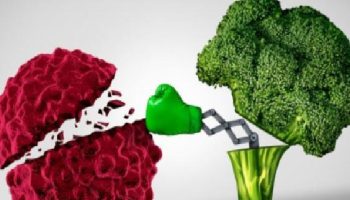 Besin kaynaklı antioksidan vitamin alımı ile meme kanseri riski arasındaki ilişki 1 besin kaynakli antioksidan vitamin alimi ile meme kanseri riski arasindaki iliski IzMMtV2j