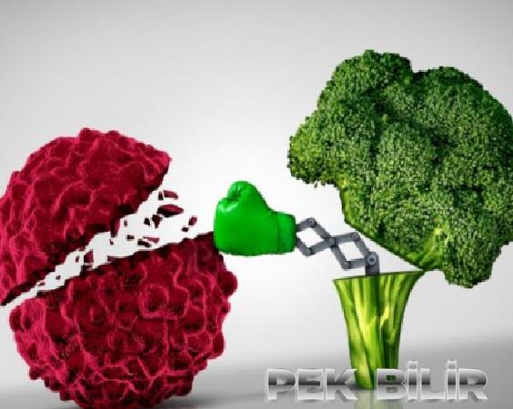 Besin kaynaklı antioksidan vitamin alımı ile meme kanseri riski arasındaki ilişki