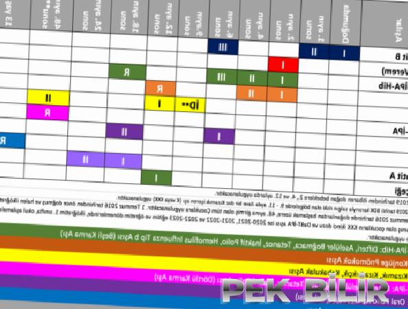 Ülkemizde uygulanan çocukluk çağı ulusal aşı takvimi