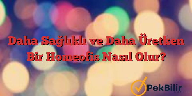 Daha Sağlıklı ve Daha Üretken Bir Homeofis Nasıl Olur?