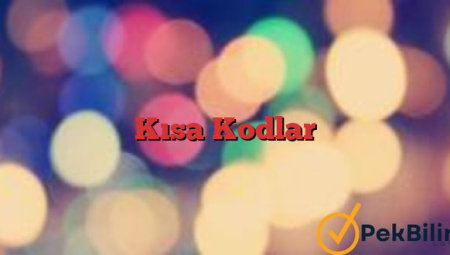 Kısa Kodlar