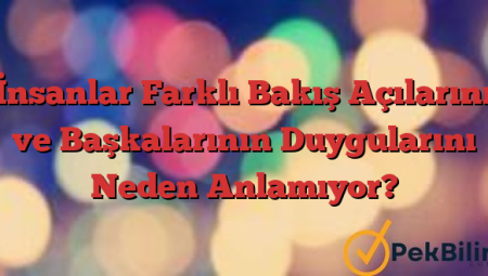 İnsanlar Farklı Bakış Açılarını ve Başkalarının Duygularını Neden Anlamıyor?