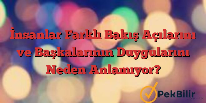 İnsanlar Farklı Bakış Açılarını ve Başkalarının Duygularını Neden Anlamıyor?